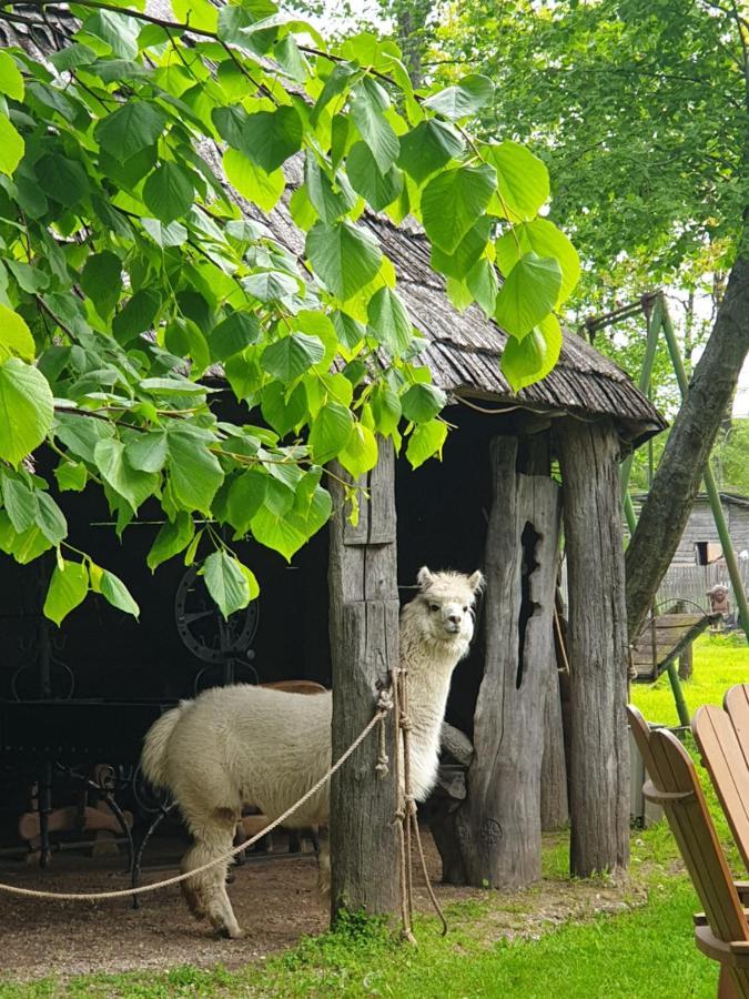 Affittacamere Vienkiemis Kretinga Esterno foto